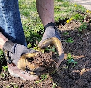 Rotary Park Clean Up, April 23, 2022